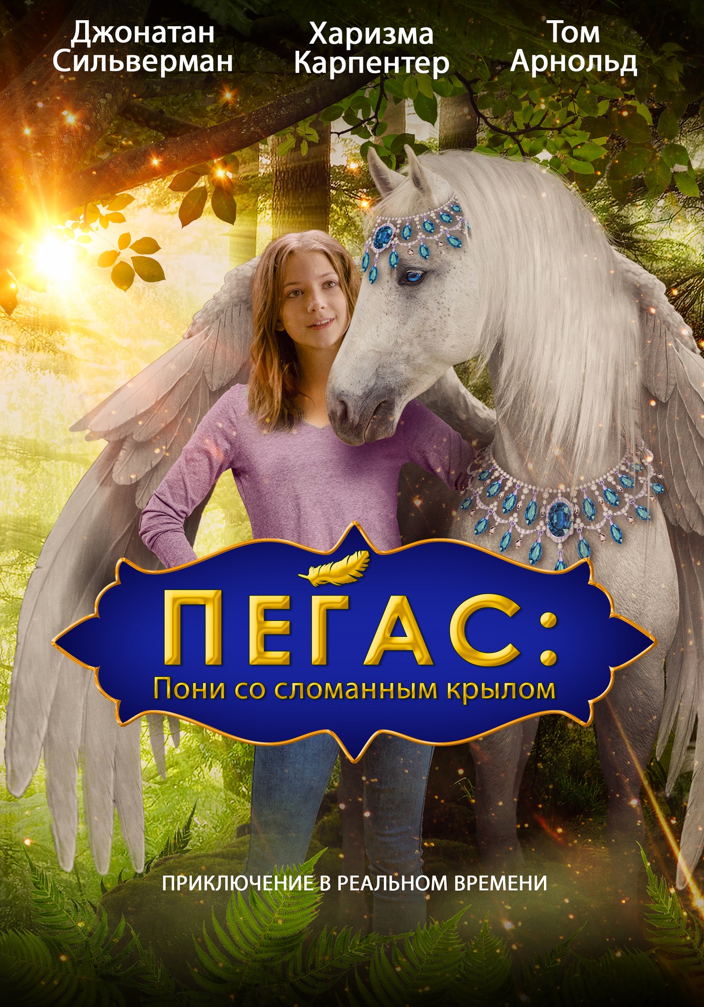 Пегас: Пони со сломанным крылом